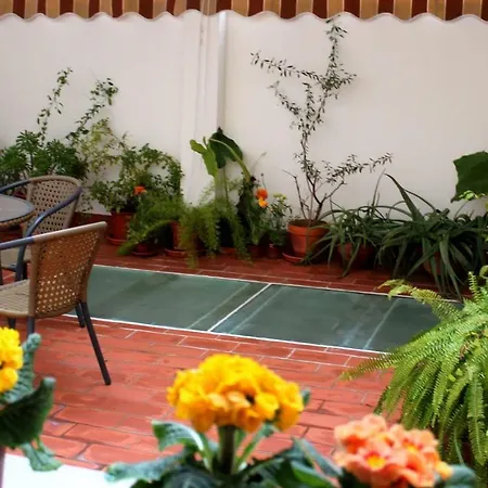 Appartamento Con Patio Cerca Mezquita *